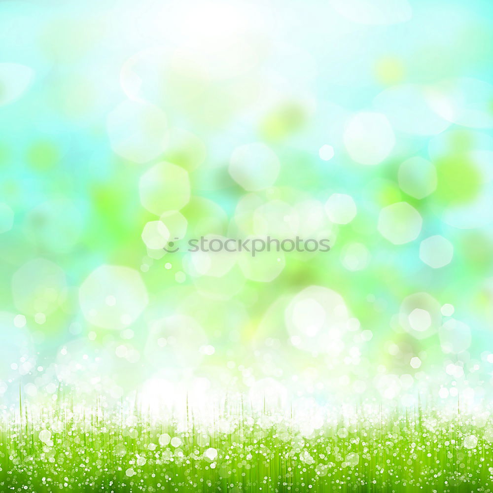 Similar – Spring background with green leaves and bokeh