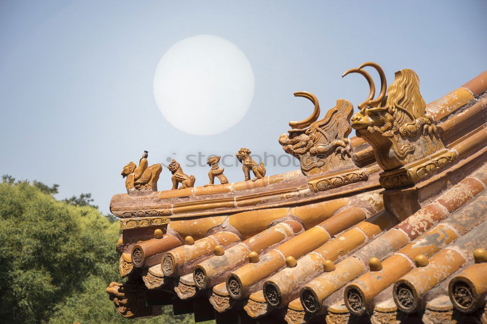 Similar – Image, Stock Photo Chinese temple roof China