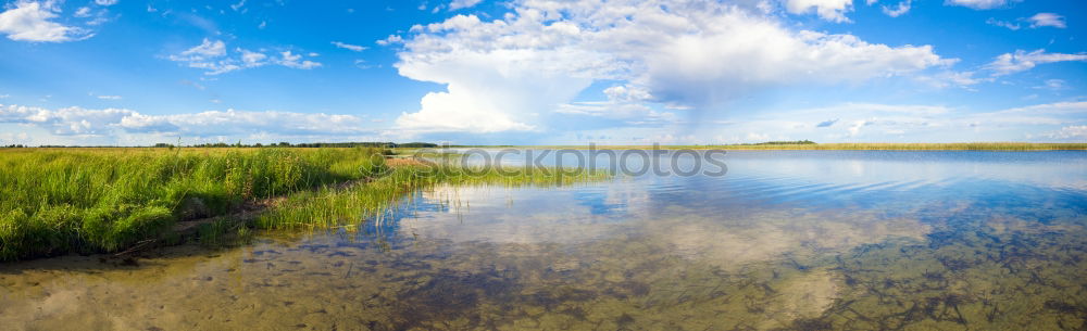 Similar – blau. weiß. grün. Umwelt