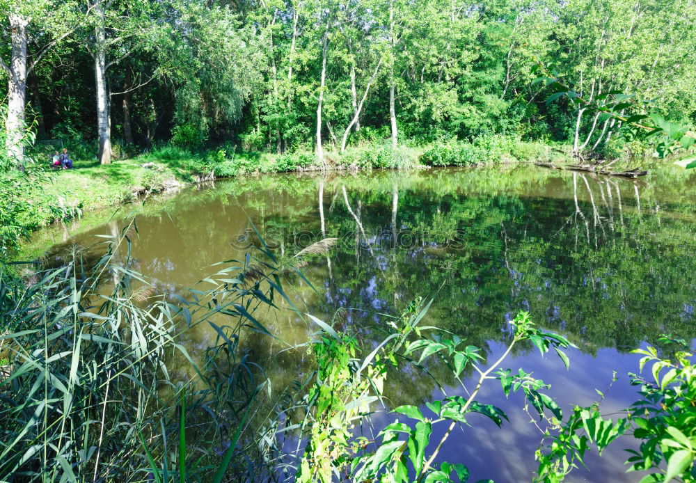 Similar – Image, Stock Photo Berggarten Hanover Green