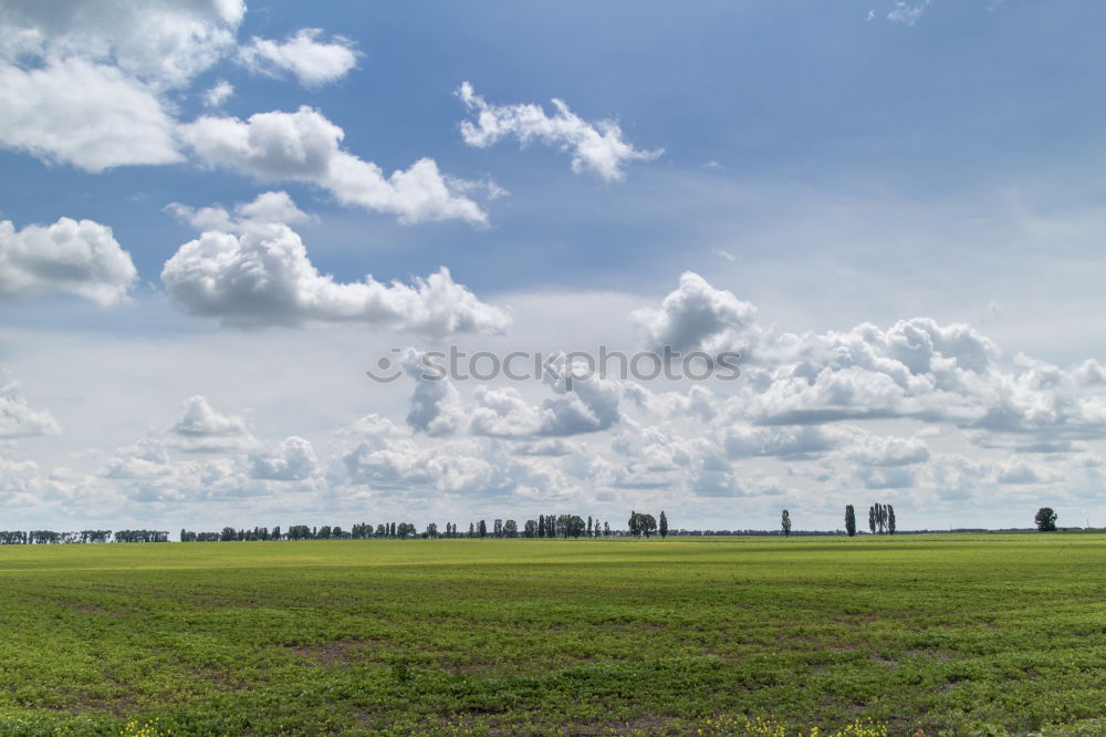 Similar – Image, Stock Photo Westerhever Lighthouse