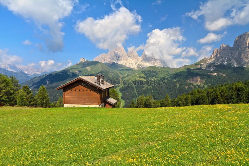 Similar – happy lovers on Holiday in the alps mountains