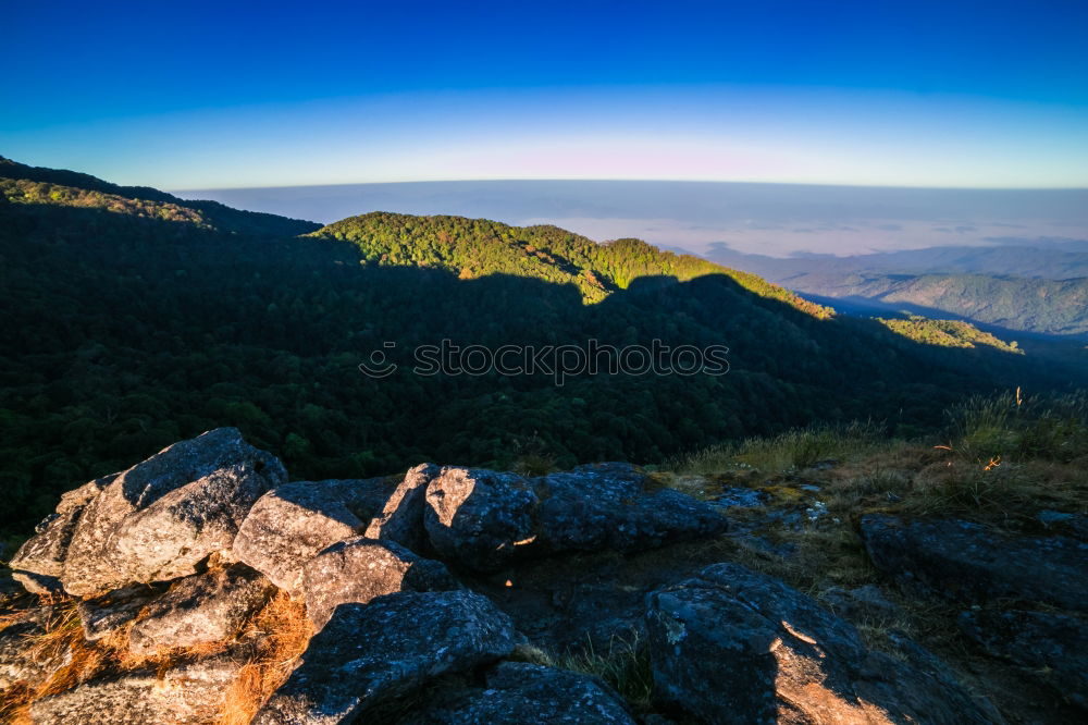 Similar – Beautiful orange and red autumn forest panorama