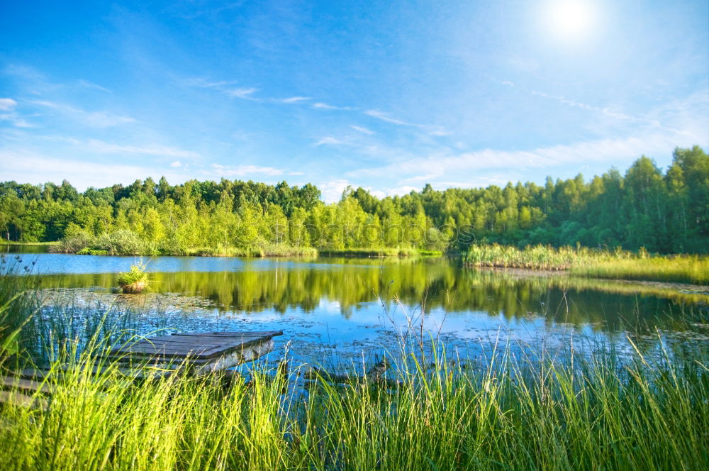 Similar – Image, Stock Photo Archipelago on the Swedish coast