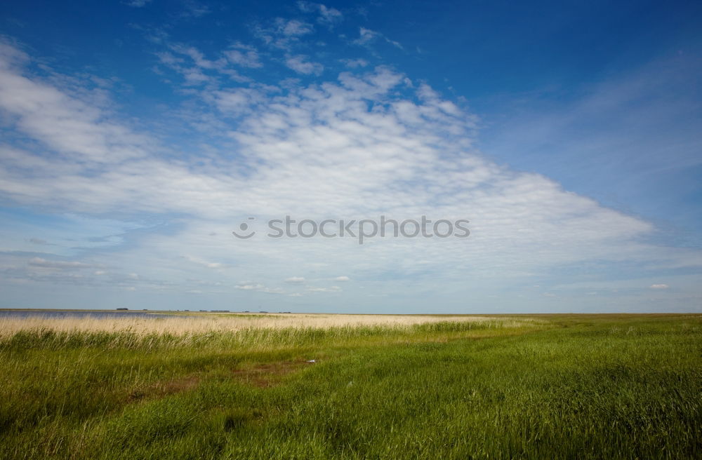 Similar – Image, Stock Photo Westerhever / North Sea coast