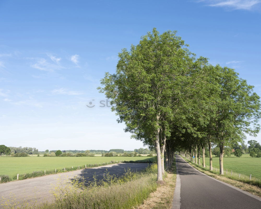 Image, Stock Photo HOME WAY Cycle path