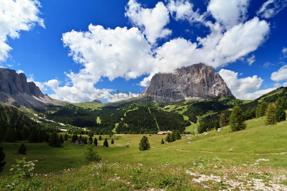 Similar – Seiser Alm harmonisch