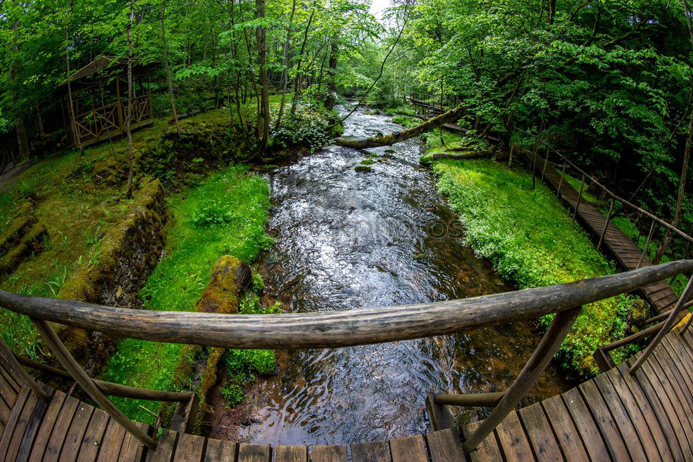 Similar – stone bridge Bridge