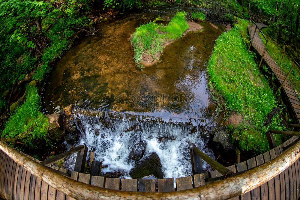 Similar – Image, Stock Photo park Environment Nature