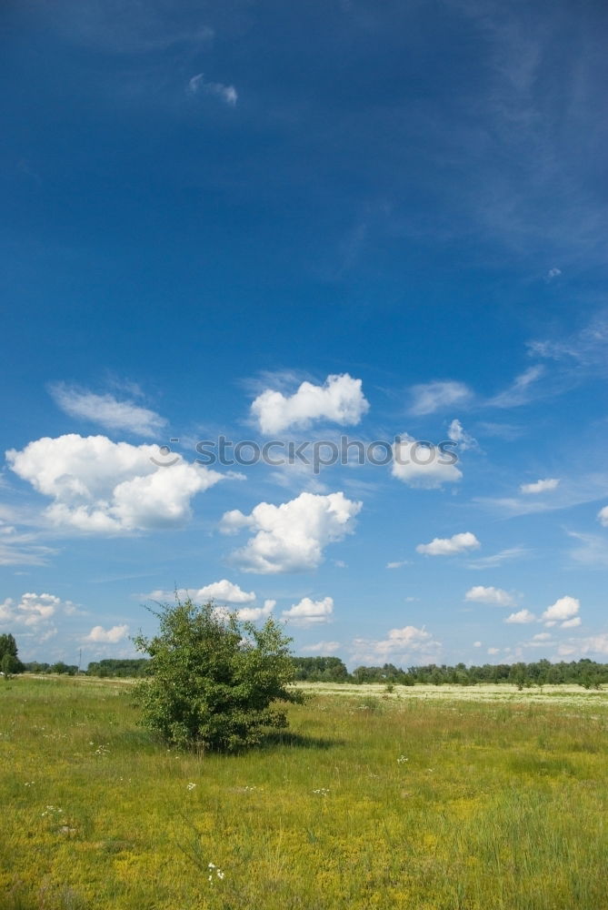 Similar – Image, Stock Photo as the winter went on.