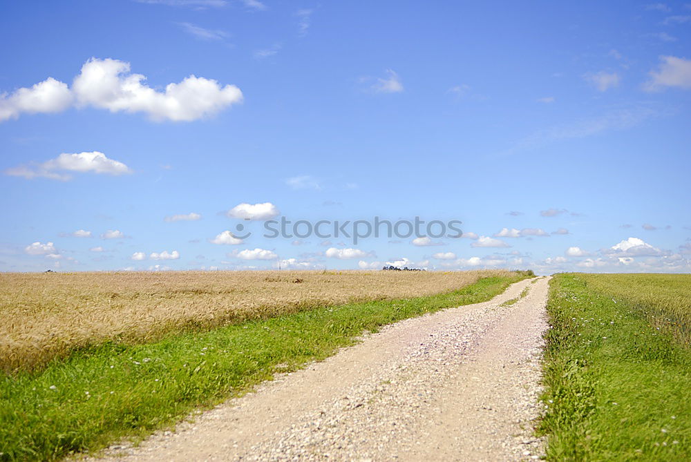 Image, Stock Photo dirt road Footpath Grass