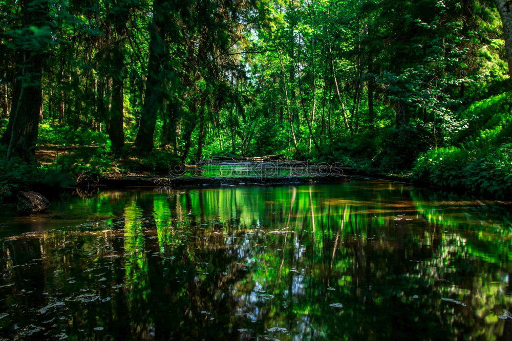 Similar – Image, Stock Photo Reflection in the lake