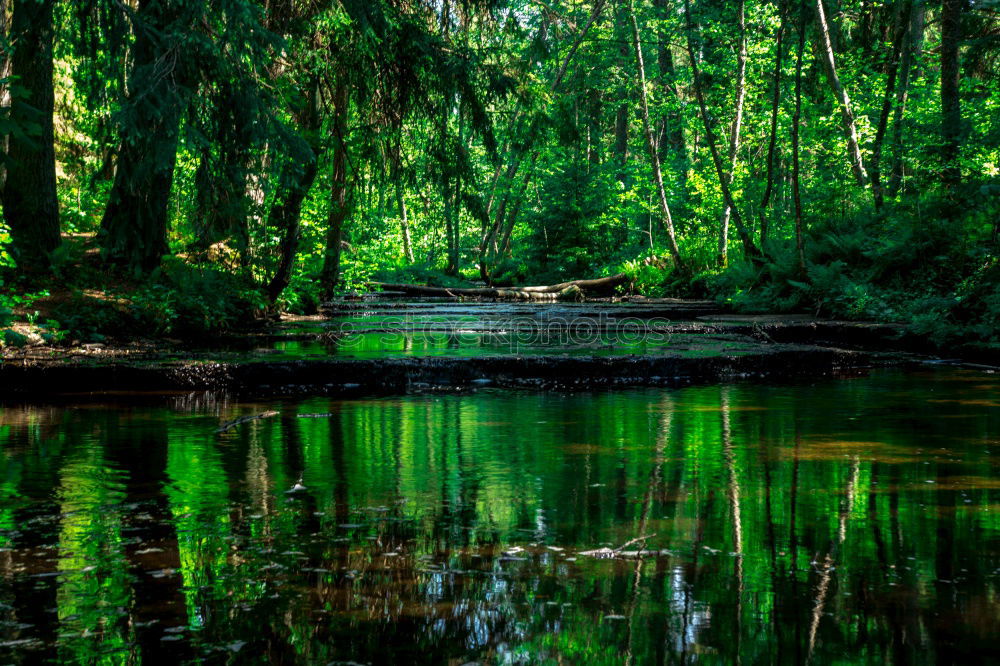 Similar – Image, Stock Photo Landscape in the Spreewald near Lübbenau