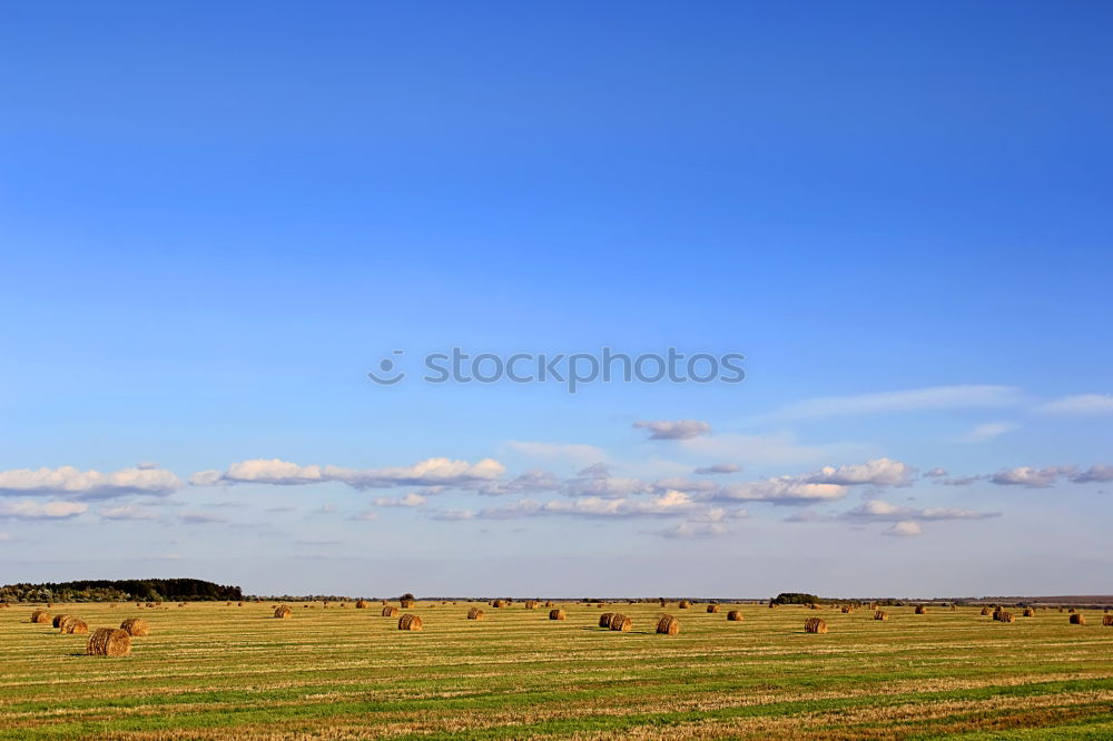 Similar – fist Cloudless sky