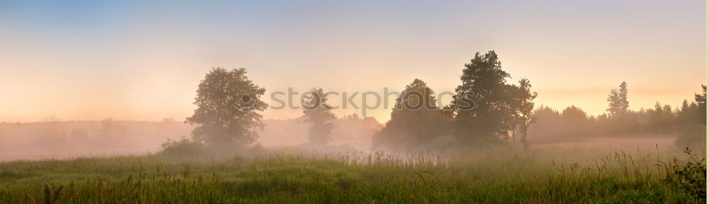 Similar – Image, Stock Photo Summer misty sunrise on the river. Foggy river in morning