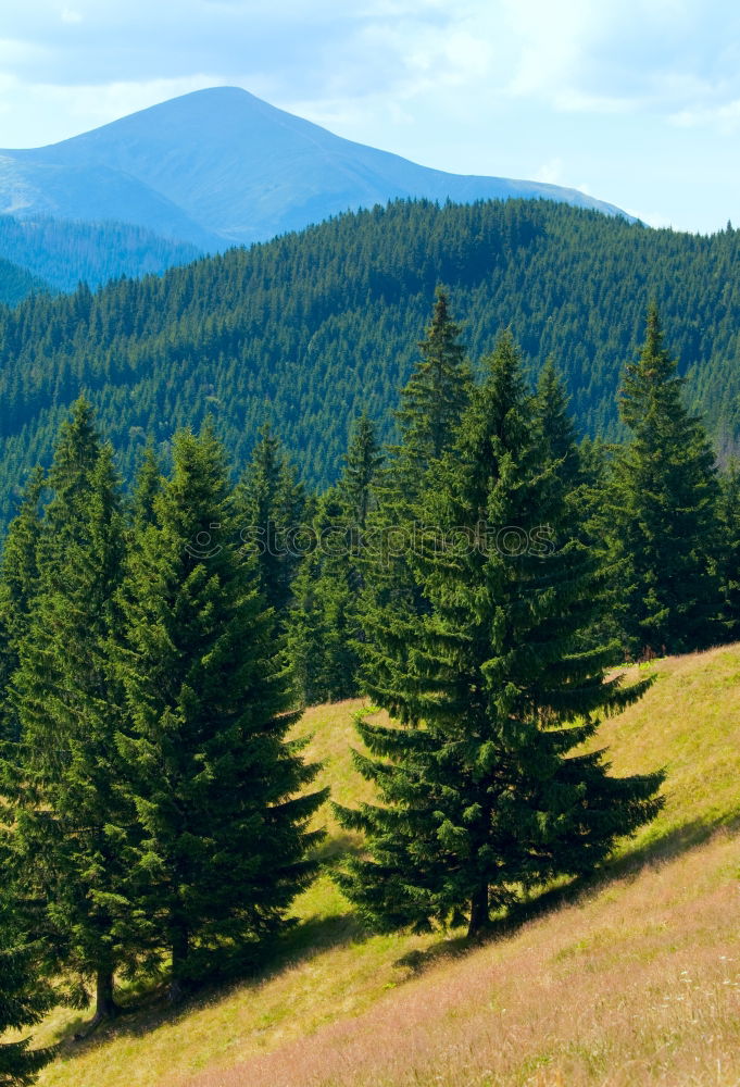 Similar – Image, Stock Photo Between mountain and valley