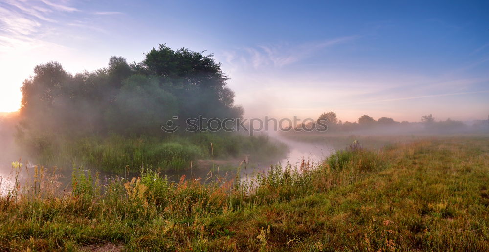 Image, Stock Photo Summer misty sunrise on the river. Foggy river in morning