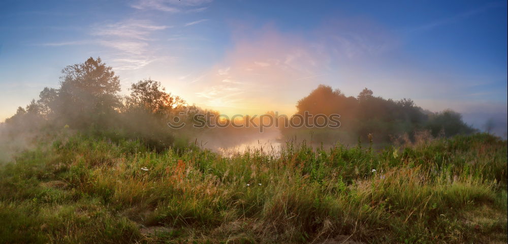 Similar – Image, Stock Photo Spreedorado Decorative Crawling Morning Fog.