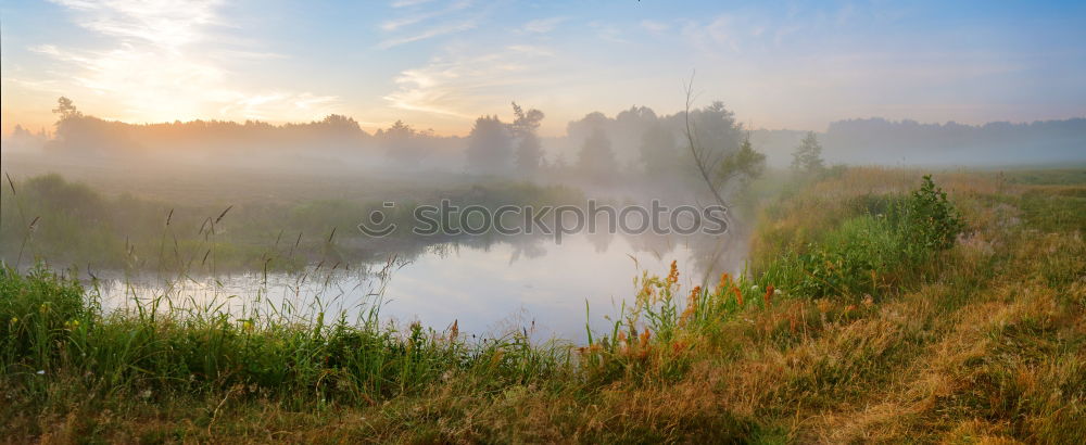 Image, Stock Photo Spreedorado Decorative Crawling Morning Fog.