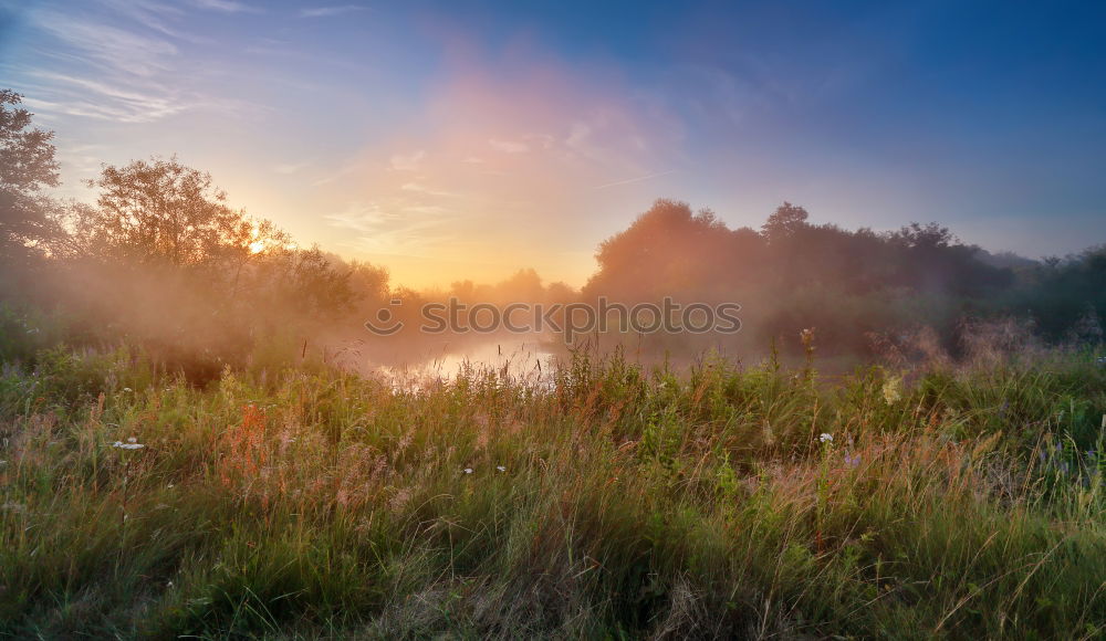 Similar – Image, Stock Photo Summer misty sunrise on the river. Foggy river in morning