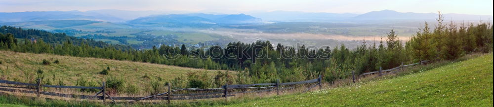 Similar – timberlines Landscape Tree