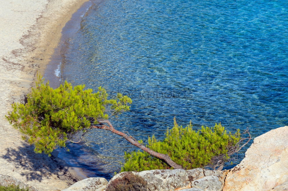 Similar – beach romance Beach Ocean