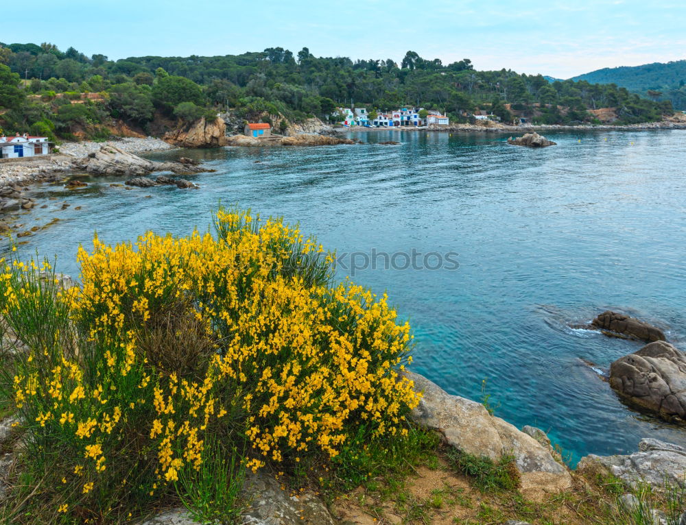 Similar – Image, Stock Photo Semi-artificial beach