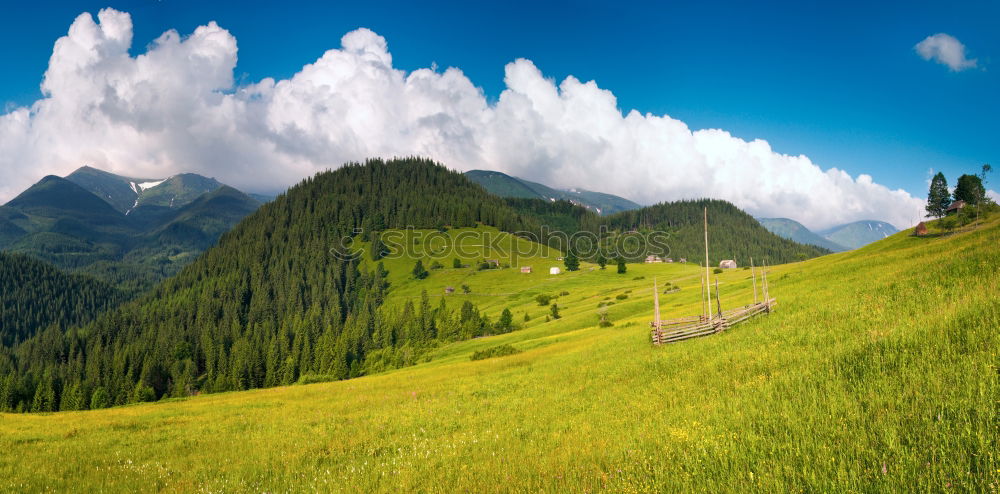 Similar – a room with a view Nature