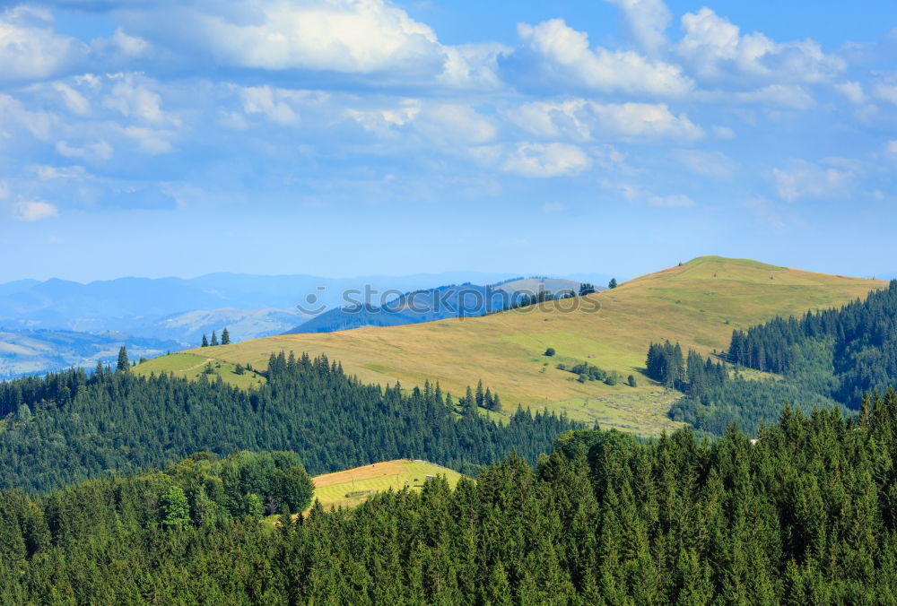 Green sunny valley in mountains and hills