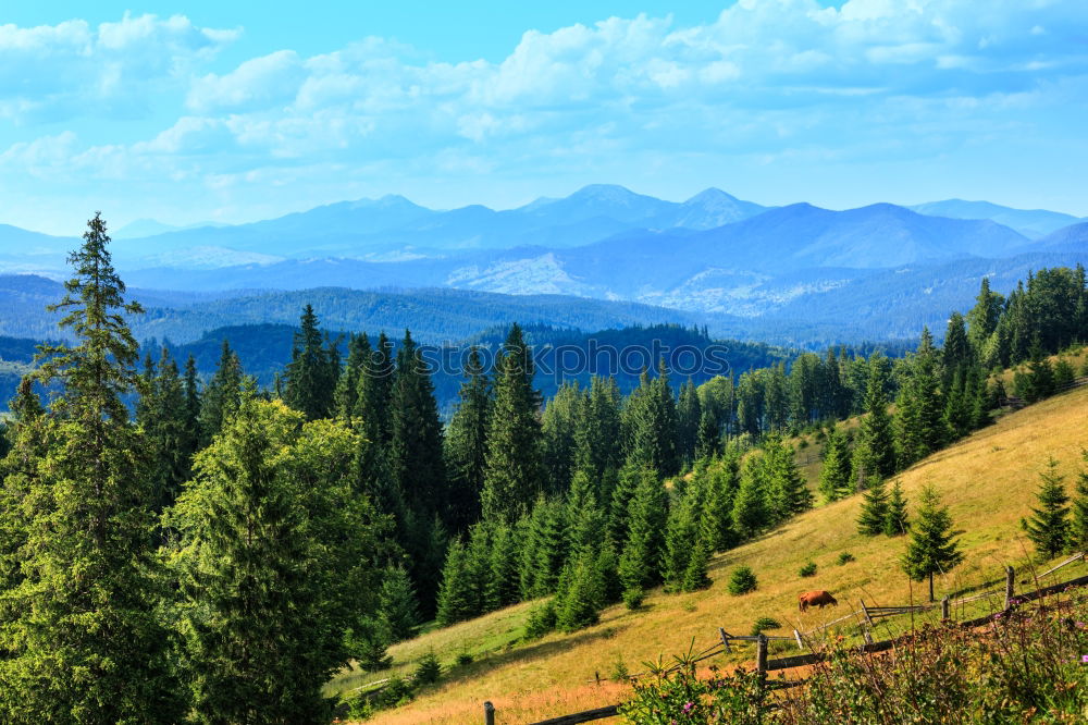 Similar – Image, Stock Photo Carpathian Mountains Landscape In Romania