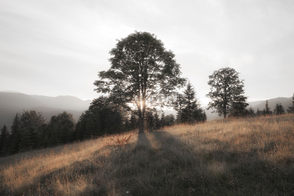 Similar – Image, Stock Photo Beautiful Tristesse Hiking