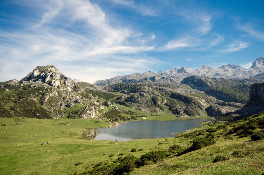 Similar – Mountaineer on a rock and cow on the grass