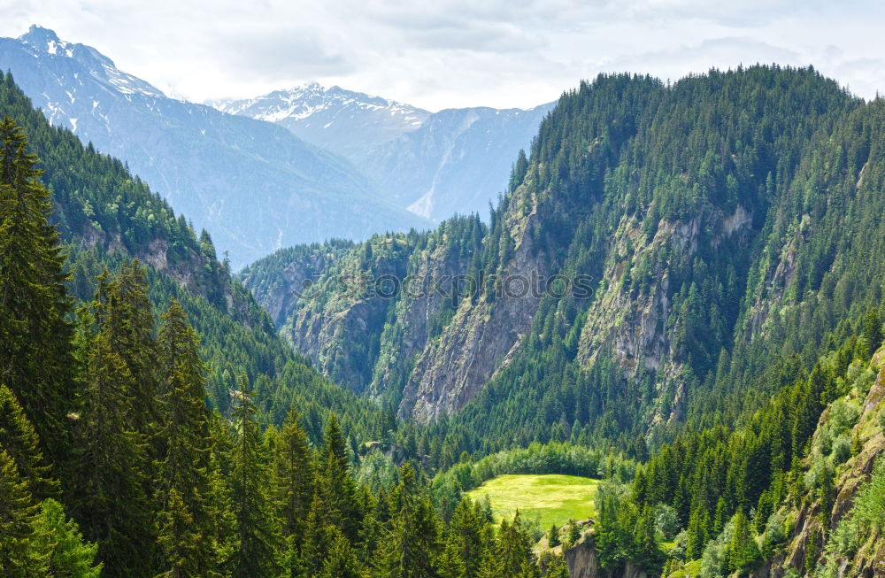 Similar – Mountain peaks with green forest and rocks in Swiss Alps