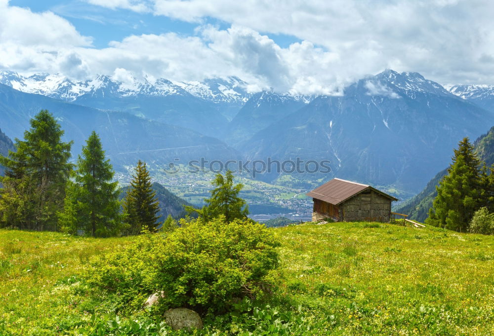 Similar – happy lovers on Holiday in the alps mountains