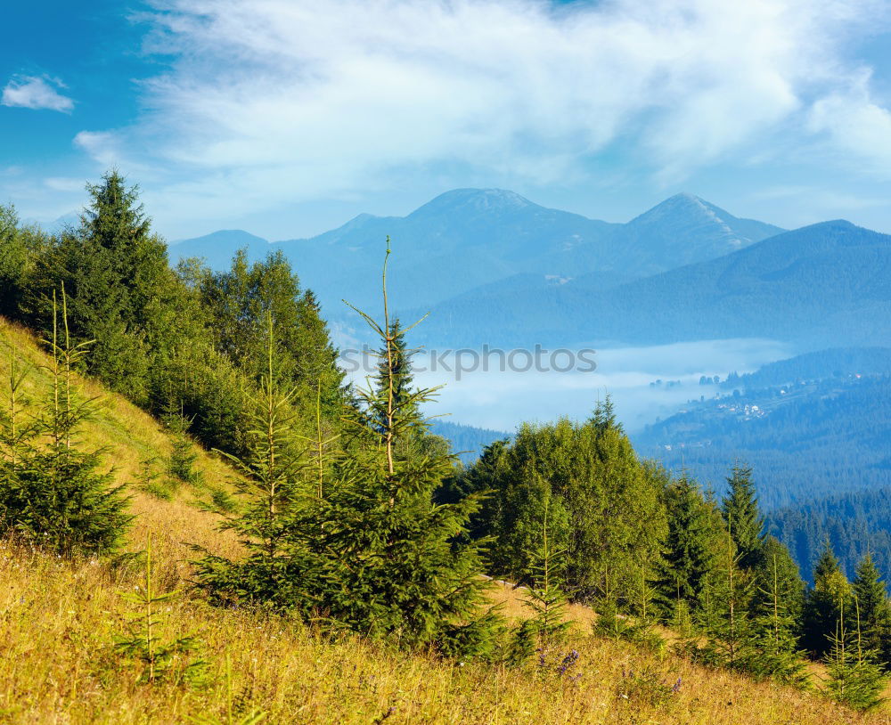 Similar – Image, Stock Photo Woman photographing the amazing lake Bled, Slovenia