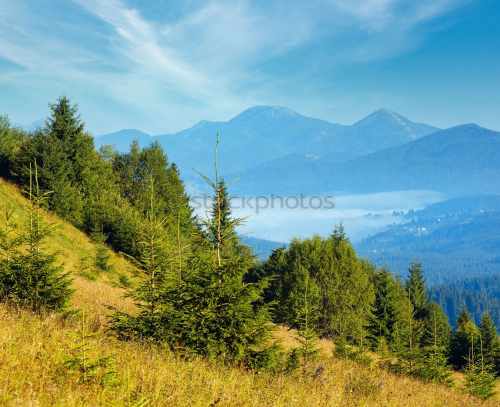 Carpathian Mountains Landscape In Romania