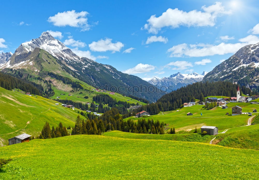 Similar – Image, Stock Photo At Heidi on the mountain pasture