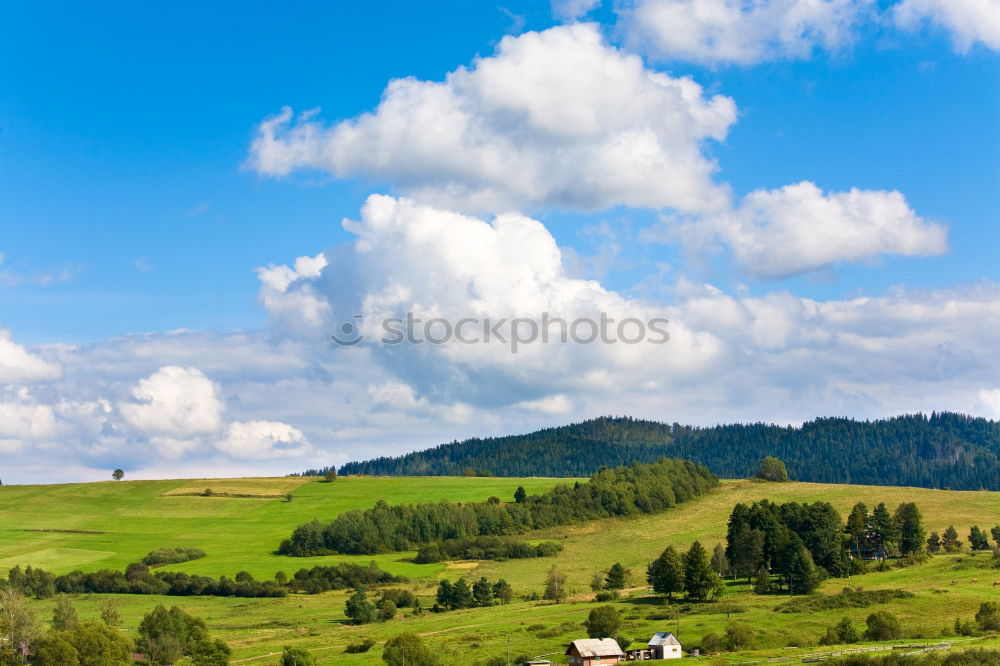 Foto Bild Skipiste im Sommer