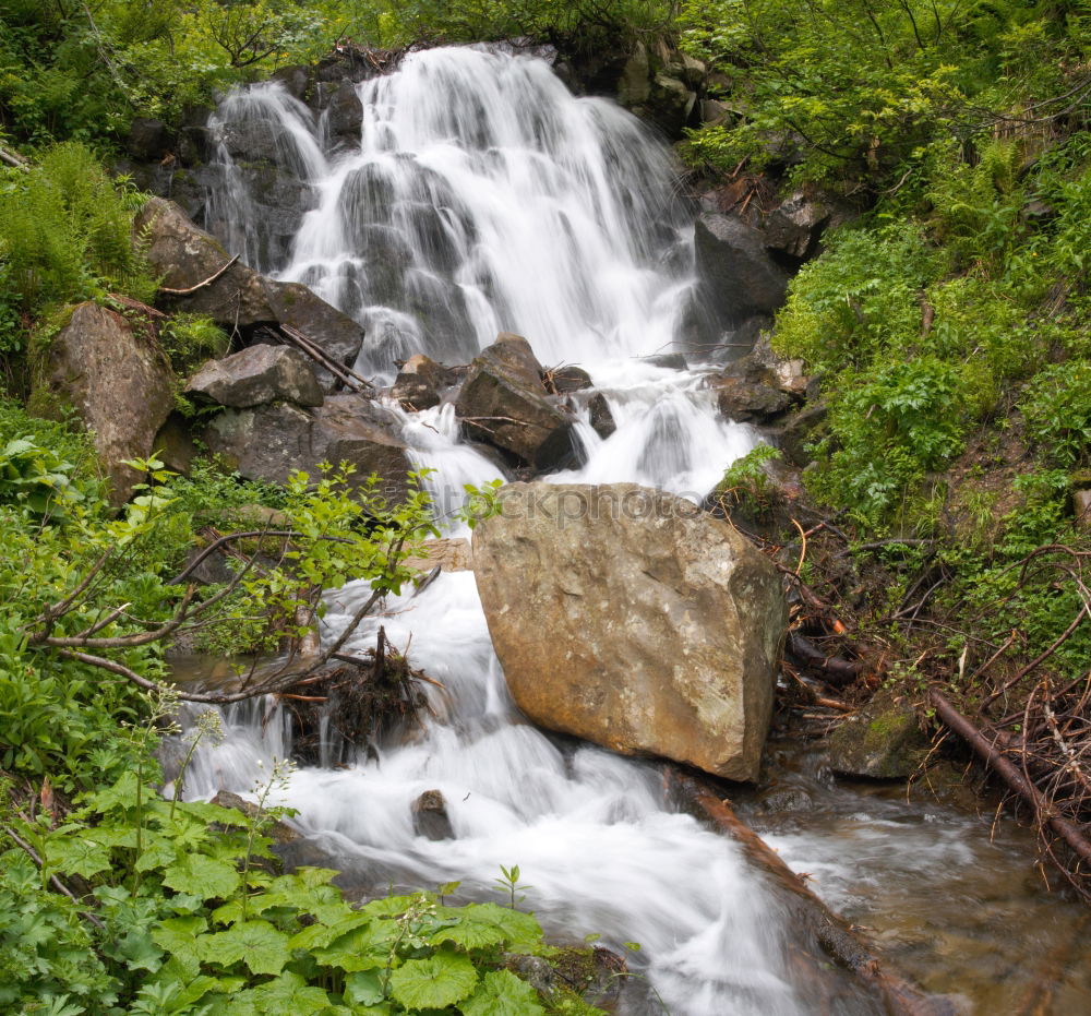 Similar – Image, Stock Photo by the rushing brook….