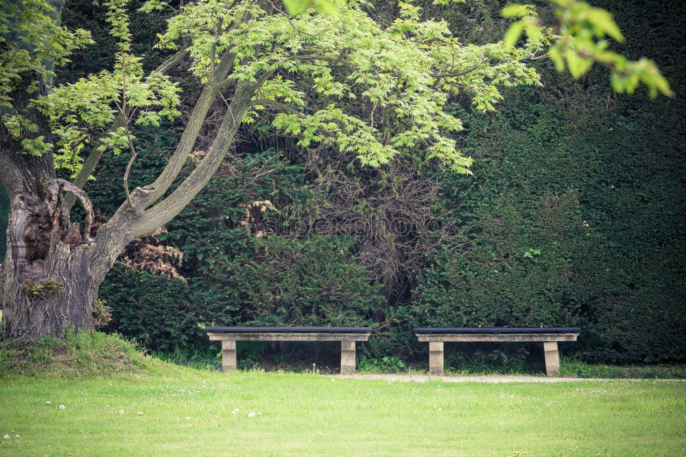 Similar – Foto Bild Pause Freude Glück