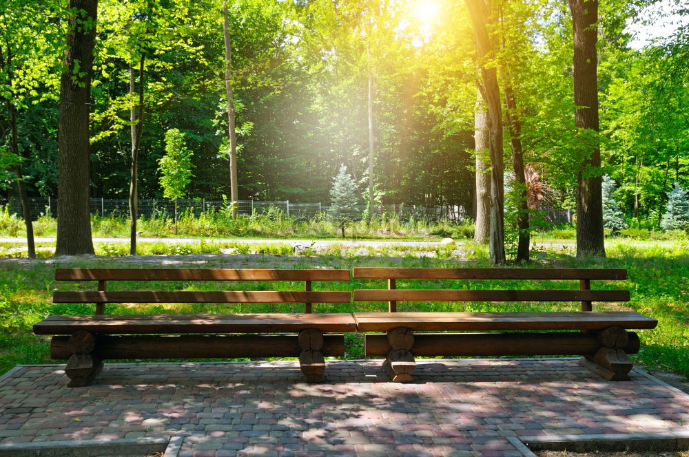 Image, Stock Photo ParkBank Park bench