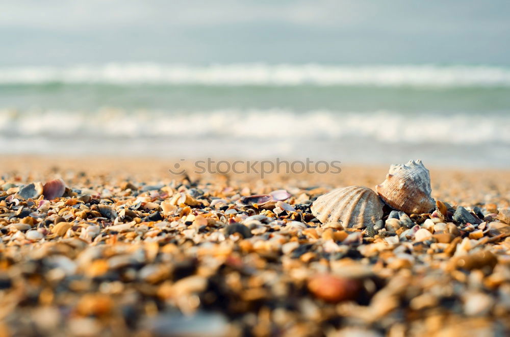 Similar – Foto Bild Eigenheimsiedlung Sand