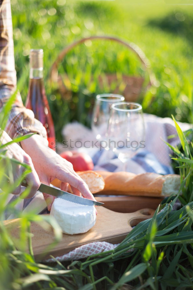 Similar – romantic dinner Nature