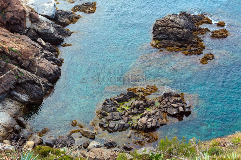 Similar – Image, Stock Photo beautiful coastline