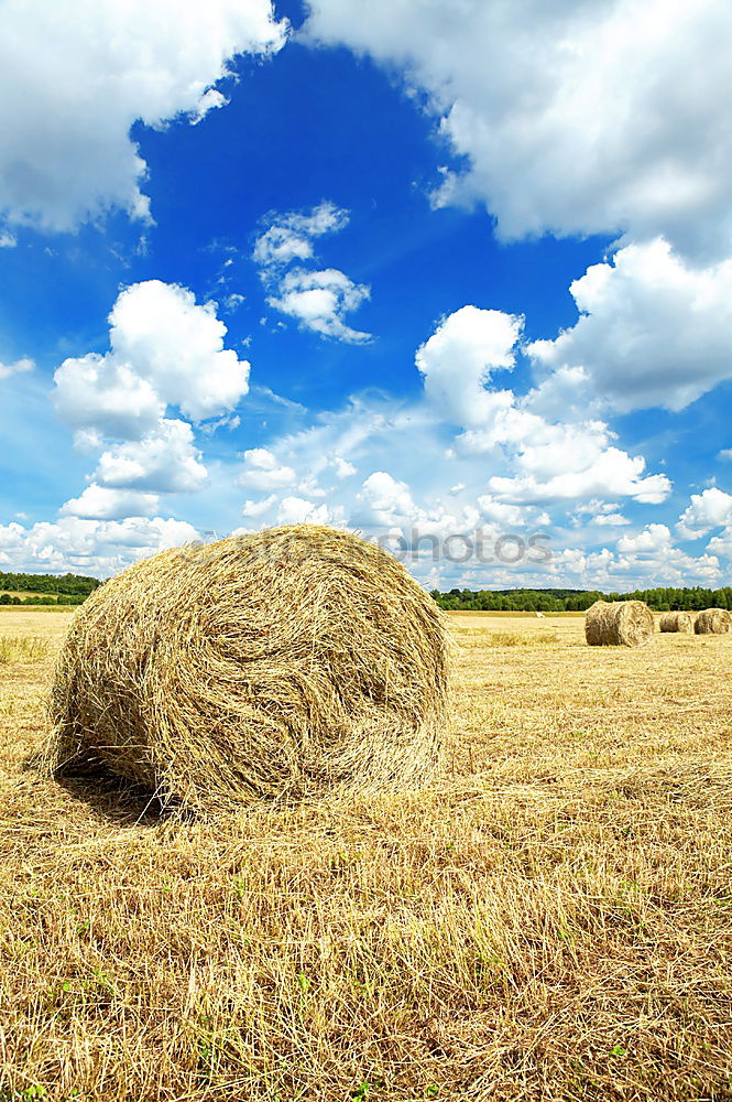 Similar – hay bales Straw Field