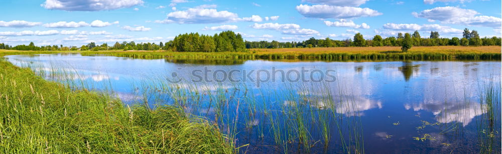 Similar – Foto Bild Aprilwetter nass Gras grün