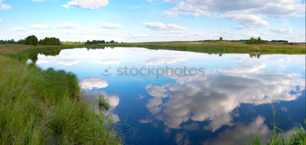 After the rain Environment