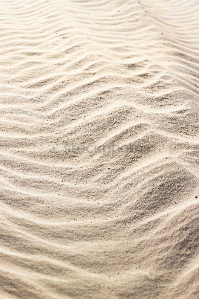 Similar – Image, Stock Photo Snow dunes on Rügen