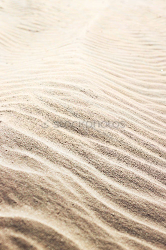 Similar – sand Calm Nature Sand