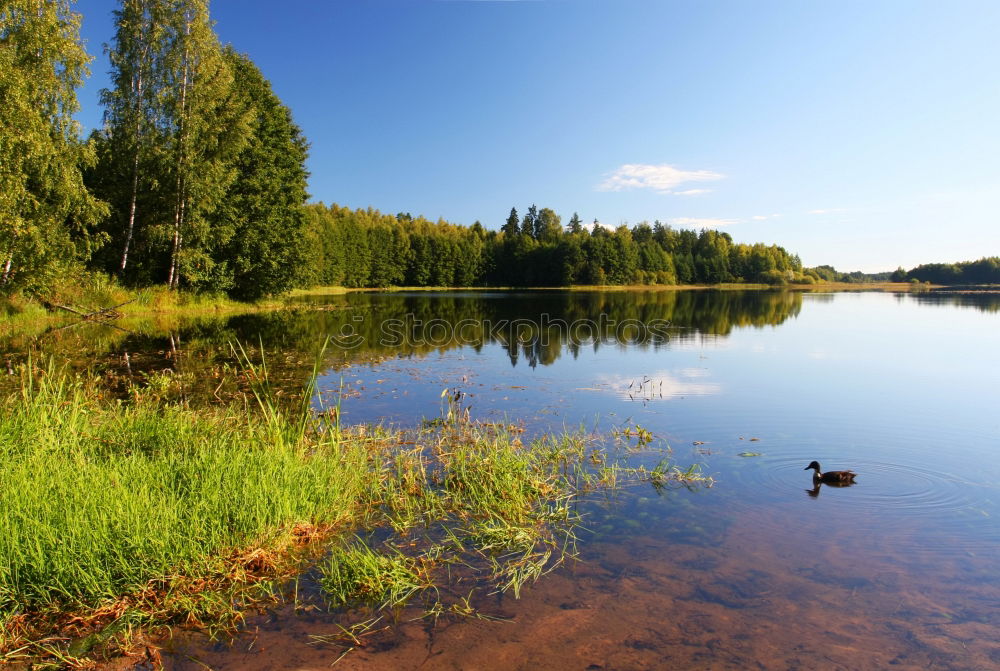 Similar – Image, Stock Photo Archipelago on the Swedish coast